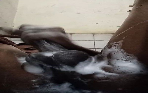 pantat gay cum di kamar mandi remaja